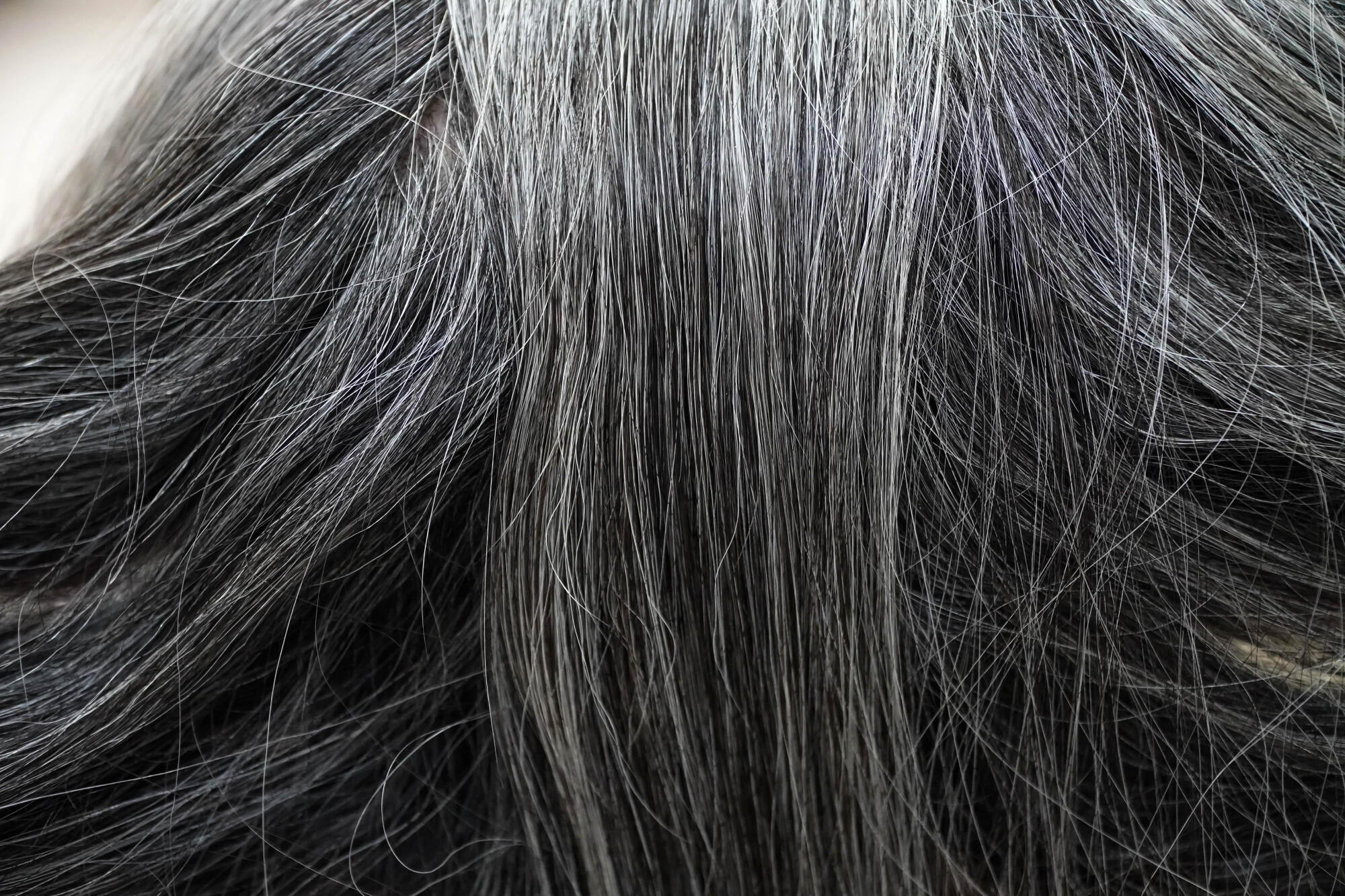 Does Stress Cause Grey Hair? The Connection Between Stress and Aging